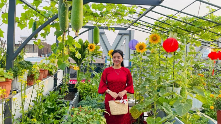 Một vườn rau sân thượng vạn người mê ở Đồng Nai, cứ ai lên việc đầu tiên là chụp hình, quay phim