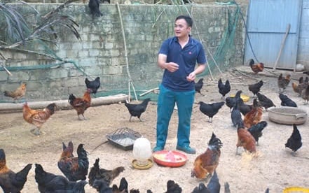Nuôi la liệt giống gà đen đặc sản, chàng trai dân tộc Tày ở Hà Giang giúp cả Bản Ké làm giàu
