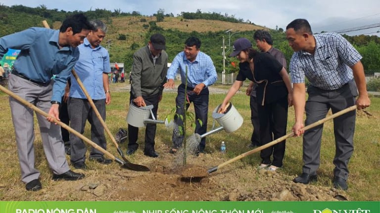 Nhịp sống nông thôn mới ngày 10/02/2025
