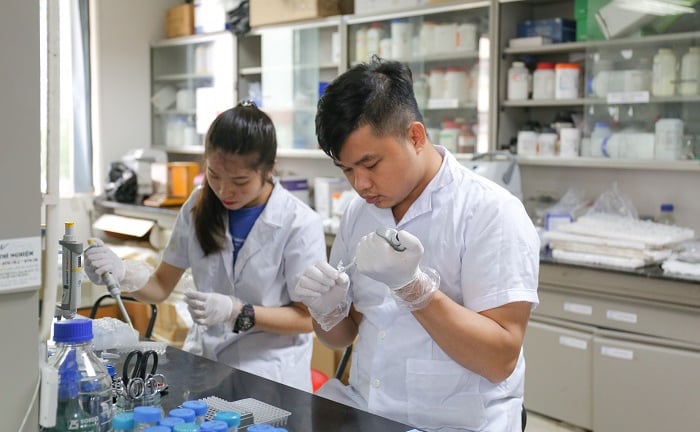 57 trong nông nghiệp: Nghiệm thu 300 giống lúa, chỉ 15 giống được ứng dụng và bài toán về 'chấp nhận rủi ro' (Bài 2)