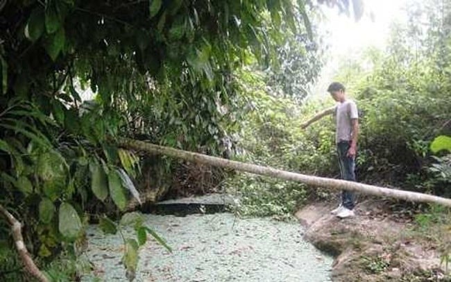 Bí ẩn về 'hang nuối người' ở Lào Cai: Chuyện “thuồng luồng rửa hang” 5 năm 1 lần