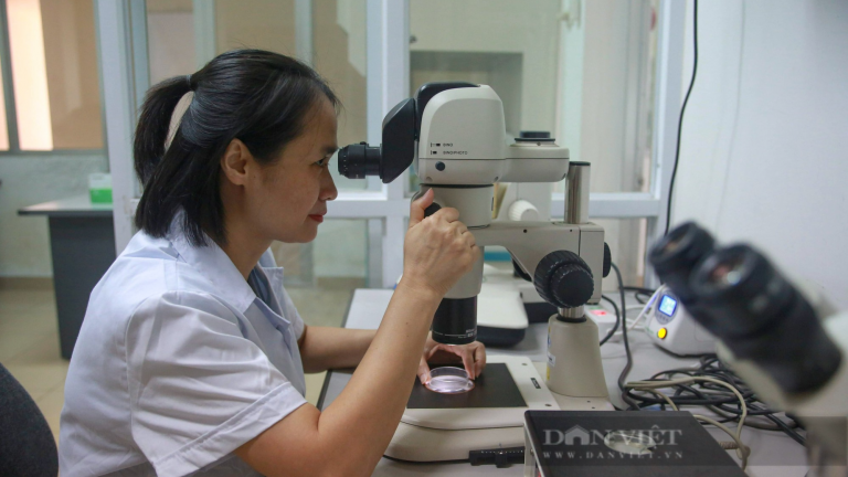 57 trong nông nghiệp: Gắn trách nhiệm nhà khoa học với công trình nghiên cứu, có cơ chế đặt hàng đặc biệt (Bài 5) 