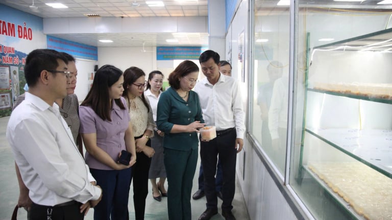 57 trong nông nghiệp: 3 khó khăn của nông dân xuất sắc, HTX khi “đổi mới sáng tạo” (Bài 7)