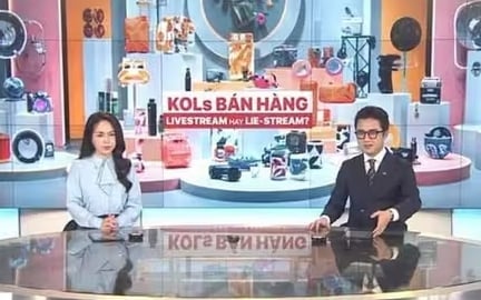 Động thái mới nhất của MC/BTV Sơn Lâm khi bị “tấn công” sau phóng sự về Quang Linh Vlogs, Hằng Du Mục