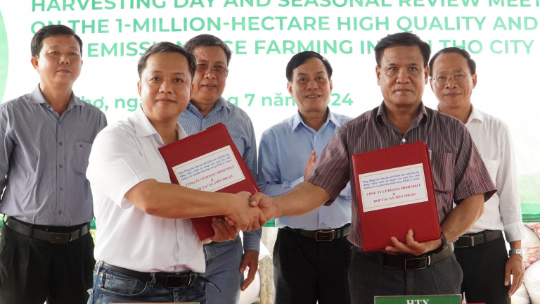 Vụ không mua lúa trong đề án 1 triệu ha tại một HTX ở Cần Thơ: Hợp đồng kinh tế không có giá trị?
