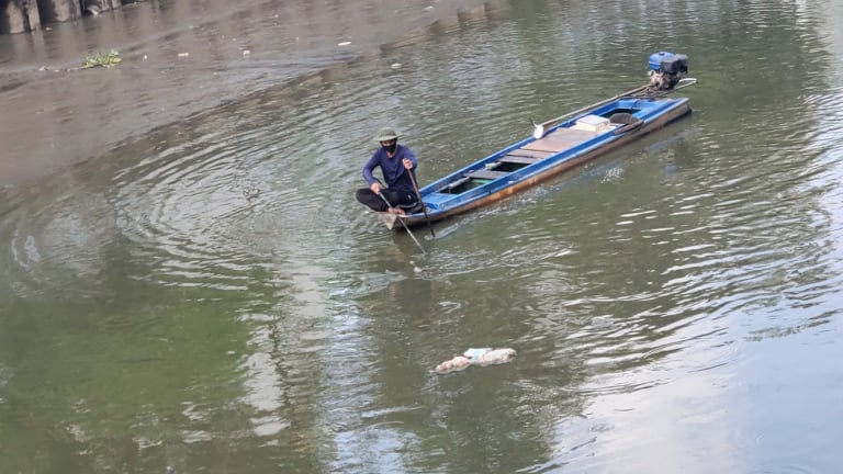 Bốn ghe chích cá trên kênh Nhiêu Lộc – Thị Nghè