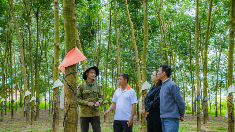 Tỷ phú ở Quảng Nam, Kon Tum dành hàng chục tỷ đồng giúp hộ nghèo, 873.581 hộ nghèo được nông dân giỏi hỗ trợ 