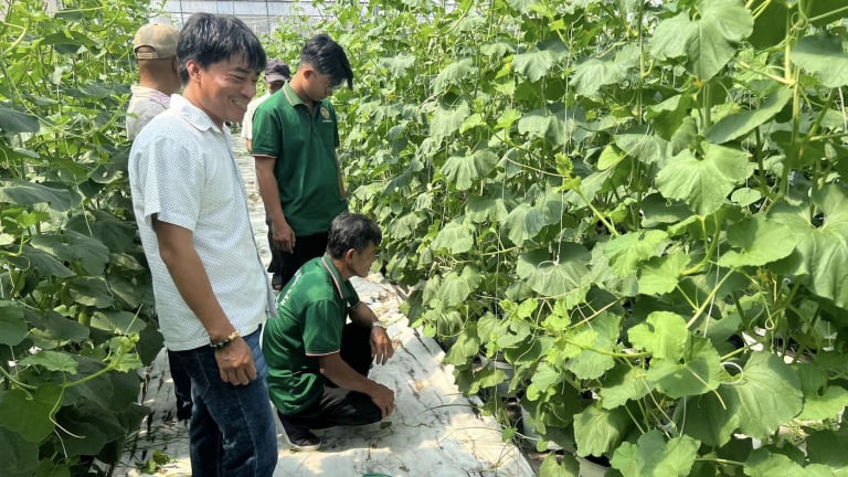 Thủ tướng Chính phủ phê duyệt Đề án bồi dưỡng cán bộ Hội Nông dân các cấp, nông dân giỏi, nông dân xuất sắc