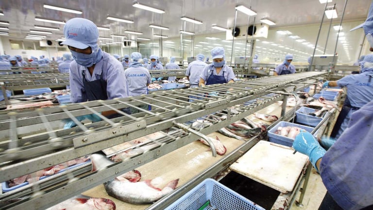 Trung Quốc tăng mua cua, mực, các loài nhuyễn thể từ Việt Nam, xuất khẩu thủy sản vụt tăng 18,2%