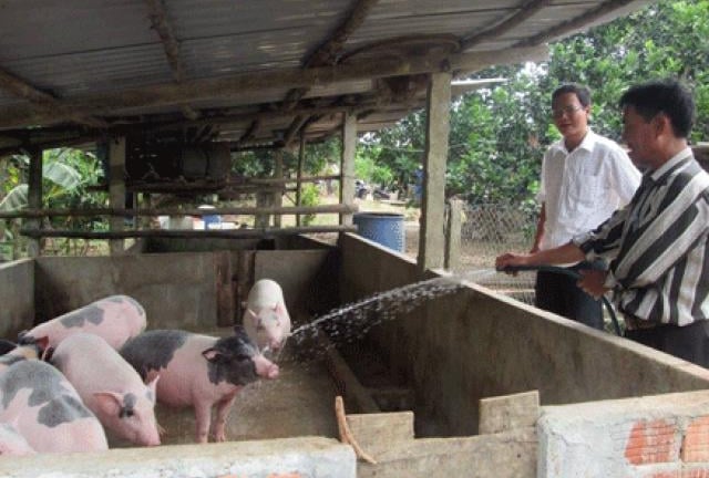 Đà Nẵng: Kiểm tra thực hiện chỉ thị số 05