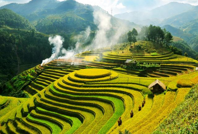 5 điểm săn lúa chín không bỏ lỡ ở Mù Cang Chải