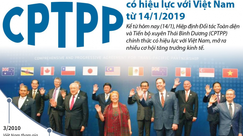 Xuất khẩu sang các nước trong CPTPP tăng trưởng mạnh