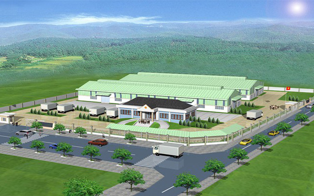 Điều gì khiến 'cổ phiếu trà đá' MBG tăng mạnh nhất năm 2019?