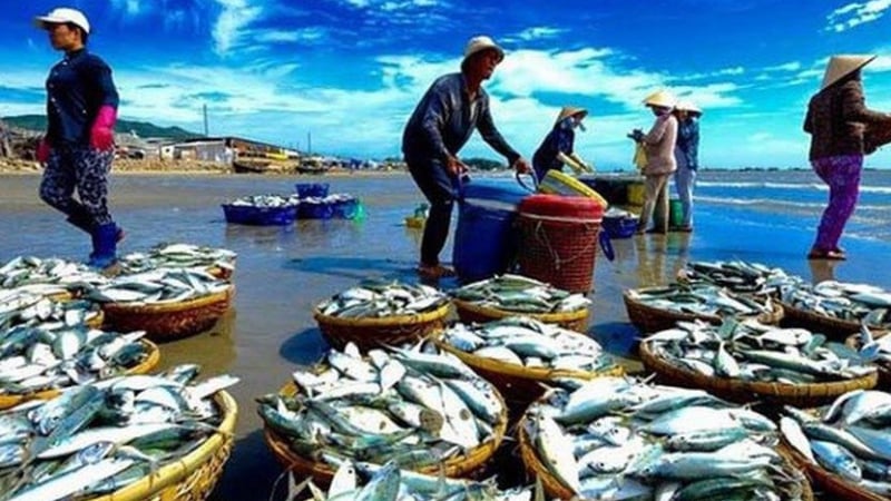 FAO: Sản lượng thấp tại Trung Quốc sẽ đẩy giá thủy sản lên cao