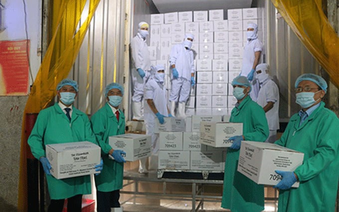 Nhờ EVFTA, cá ngừ tăng tốc sang EU, Việt Nam thực hiện tốt khuyến nghị chống khai thác IUU