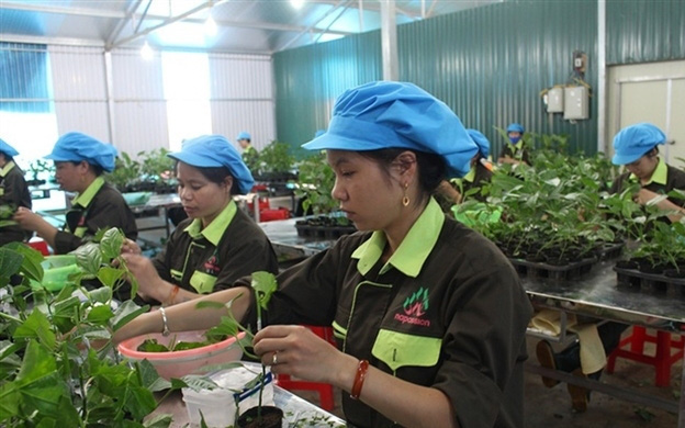 Nafoods Group (NAF): Lợi nhuận 9 tháng tăng mạnh đạt 51 tỷ đồng
