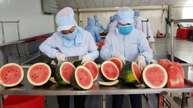 Cơ hội cho hàng dệt may, nông sản... từ RCEP