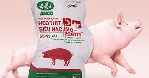Masan Meatlife dự góp thêm khoảng 500 tỷ vốn cho Anco