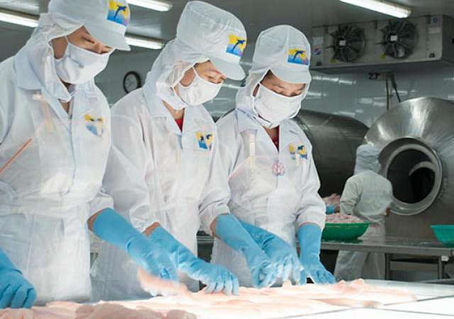 Bắt tay với tỷ phú Trần Bá Dương, HVG của ông Dương Ngọc Minh vẫn chồng chất khó khăn