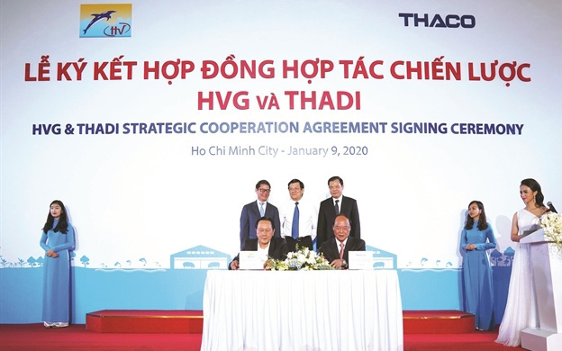 Thadi bắt tay Hùng Vương lập công ty sản xuất heo giống