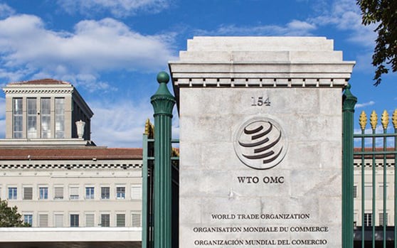WTO chốt danh sách ứng cử viên cho vị trí Tổng Giám đốc