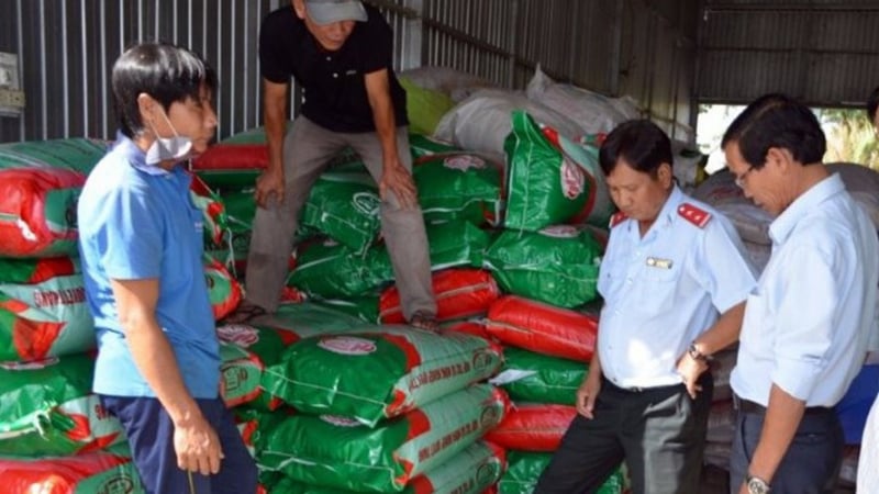 Bạc Liêu: Phạt nặng 2 đơn vị bán lúa giống ST24 không rõ nguồn gốc