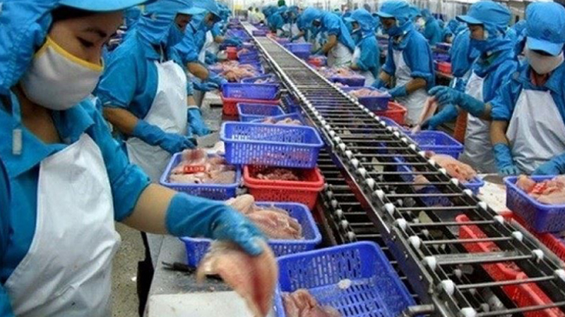 Thuỷ sản Mekong (AAM) thoát lỗ trong quý III/2021 nhờ đầu tư chứng khoán