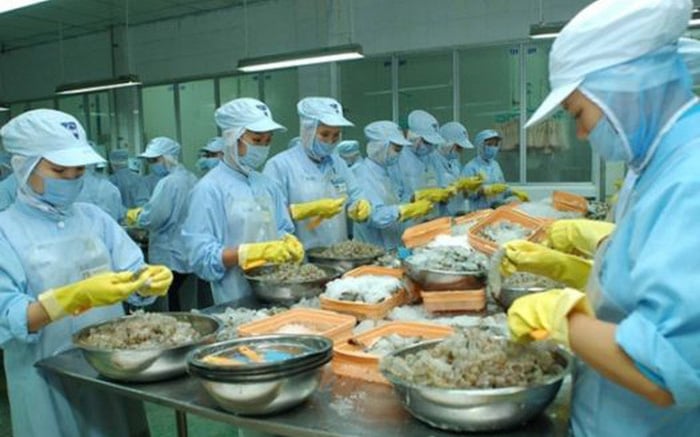 Cổ phiếu THP của Thủy sản Thuận Phước  - 'hoa hậu' ngành tôm đang bị lãng quên?