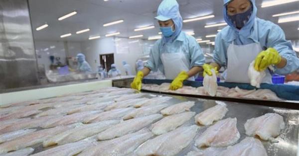 Thủy sản Cần Thơ (CCA): Quý III lỗ nặng, 'thổi bay' lợi nhuận đạt được trước đó