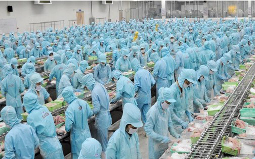Cổ phiếu IDI bị bán sàn, giải mã 'cơn lốc I.D.I'