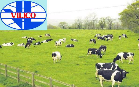 GTNFoods thông qua hồ sơ hợp nhất với Vilico