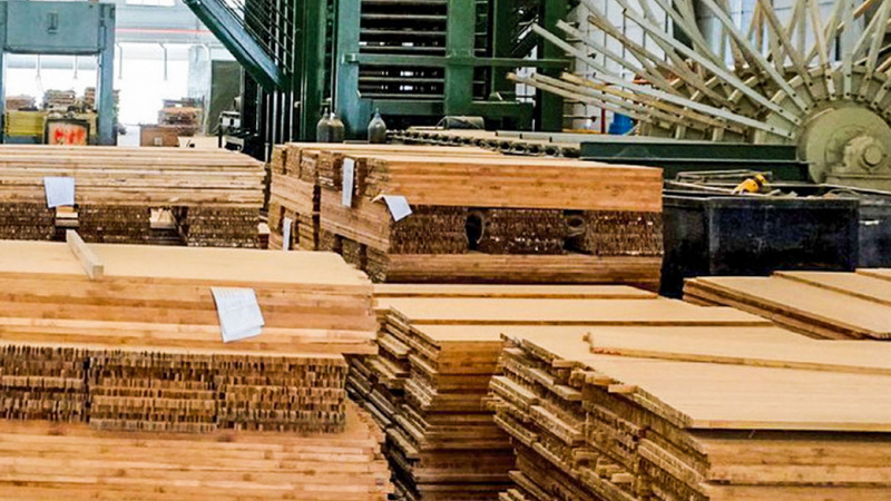 Sau 12 phiên 'tím ngắt', cổ phiếu SJF của Sao Thái Dương liên tục cắm sàn, trắng bên mua, vì đâu nên nỗi?