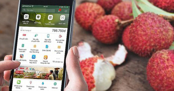 Hải Dương bán nông sản trên chợ online Alibaba, Lazada, Sendo