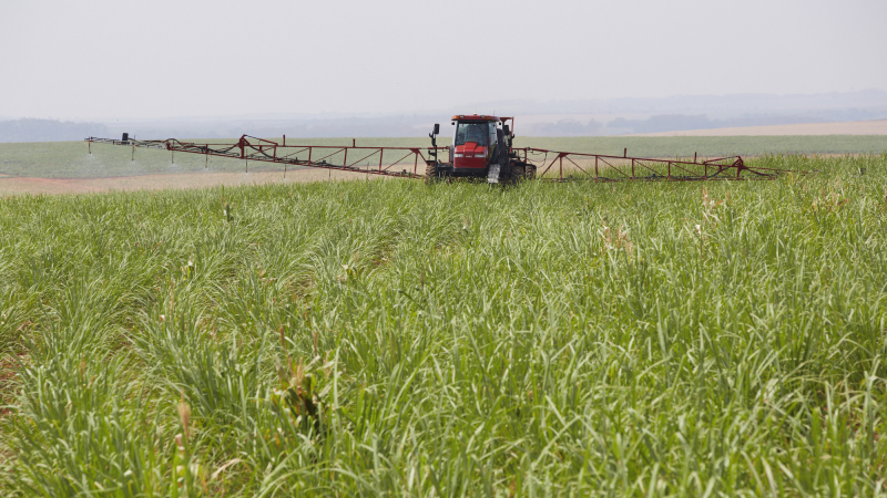 AGG xác nhận Glyphosate an toàn và không gây ung thư