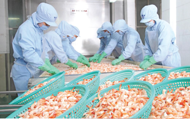 Camimex Group (CMX) điều chỉnh phương án phát hành cổ phiếu