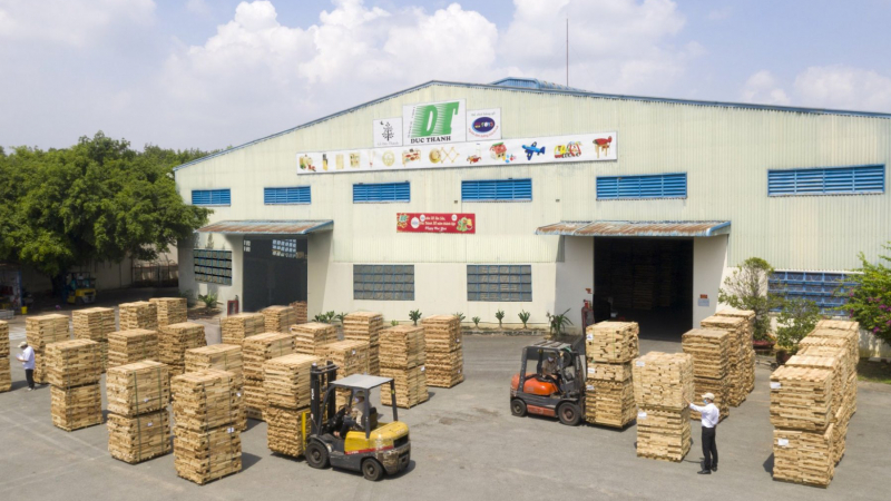 Gỗ Đức Thành (GDT) ước lợi nhuận đạt 56 tỷ, vượt kế hoạch 10%