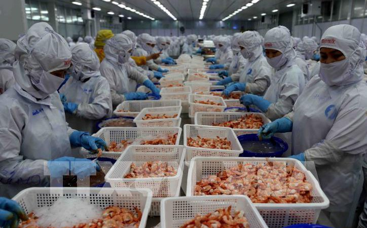 'Hoa hậu' ngành tôm Thủy sản Thuận Phước (THP) báo lãi khủng, cổ phiếu tăng mạnh bất chấp thị trường rực lửa