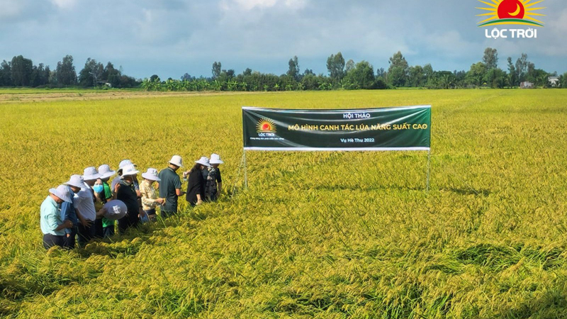 Tập đoàn Lộc Trời (LTG) chốt ngày chia cổ tức bằng tiền tỷ lệ 20%