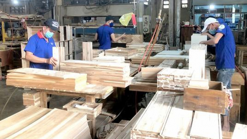 Gỗ Thuận An (GTA) lên kế hoạch lỗ trong quý 4