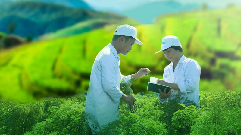 Traphaco (TRA) chốt ngày tạm ứng cổ tức đợt 1/2022 bằng tiền tỷ lệ 20%