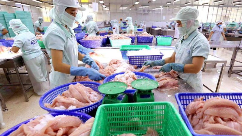 Thủy sản Cửu Long An Giang (ACL) báo lãi quý III gấp 6 lần cùng kì