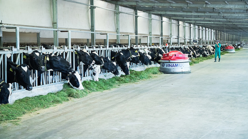 Mua bất thành gần 21 triệu cổ phiếu VNM, F&N Dairy Investments tiếp tục đăng ký mua vào