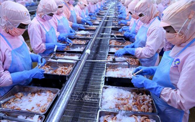 'Vua tôm' Minh Phú (MPC) báo lãi quý I/2022 gấp 3,4 lần lên 91,2 tỷ đồng