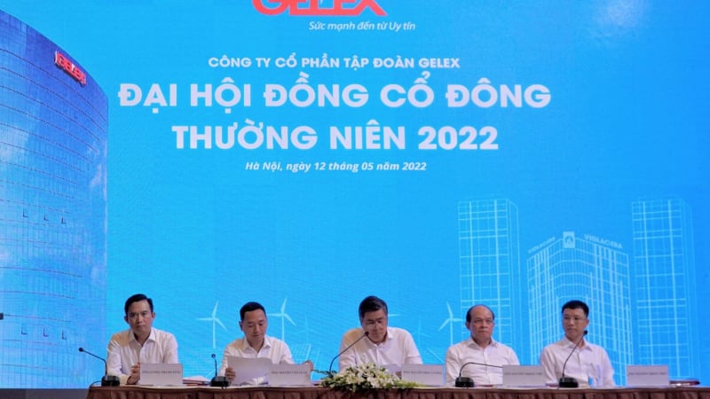 ĐHĐCĐ Gelex: Nợ vay GEX tăng khủng thêm gần 1 tỷ USD, có đáng ngại?