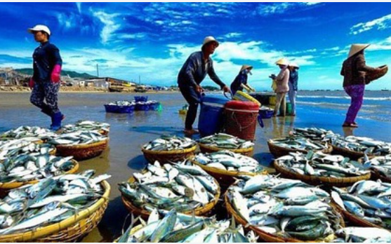 Các nước thành viên RCEP chiếm trên 63% thị phần xuất khẩu thủy sản của Việt Nam