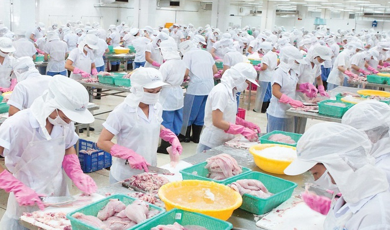 Thủy sản Mekong (AAM) báo lãi kỷ lục 8,8 tỷ đồng trong quý II/2022