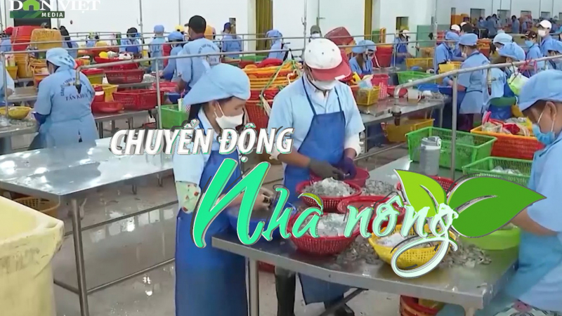 Chuyển động Nhà nông 20/7: Doanh nghiệp thủy sản 'đói' nguyên liệu, VASEP kiến nghị gỡ nút thắt cho hàng nhập khẩu