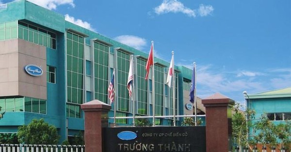 Gỗ Trường Thành (TTF) sắp chào bán riêng lẻ hơn 41,1 triệu cổ phiếu giá 11.000 đồng/cp