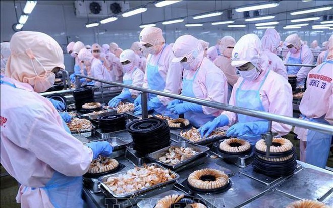 'Vua tôm' Minh Phú mẹ (MPC) báo lãi gấp 2,5 lần lên gần 200 tỷ trong quý II/2022