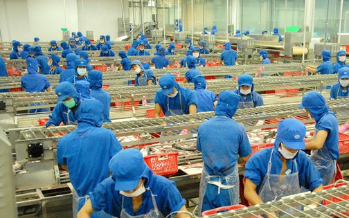 Vasep đề xuất 5 giải pháp tháo gỡ khó khăn cho doanh nghiệp thuỷ sản